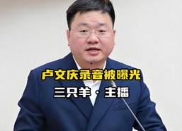 吃瓜网卢文庆录音,揭秘娱乐圈幕后真相