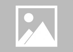 娱乐吃瓜关晓彤,娱乐圈的“吃瓜”女王，揭秘她的星途历程