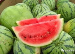 西安今日吃瓜事件视频,一场网络热议背后的真相揭秘